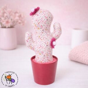 Cactus rosa
